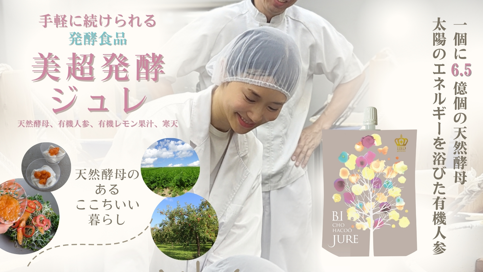 Inner Beauty Diet DVD インナービューティーダイエット Inner Beauty Diet DVD インナービューティーダイエット 日本インナー